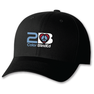 2B Color BlindEd Solid Hat
